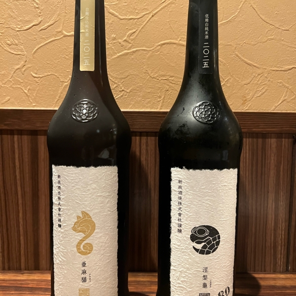 新政